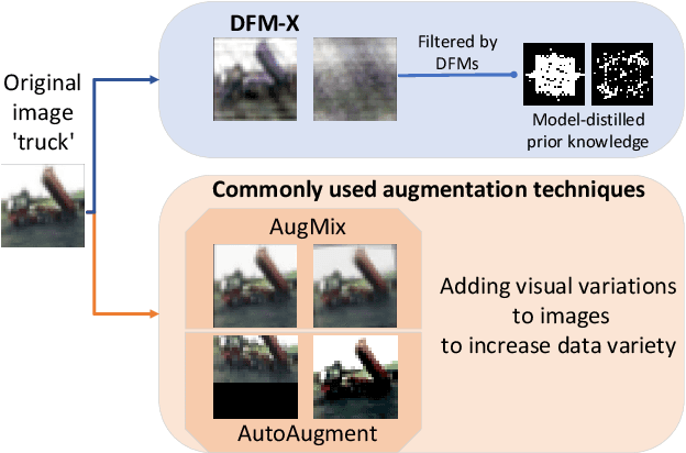 Figure 1 for DFM-X: Augmentation by Leveraging Prior Knowledge of Shortcut Learning