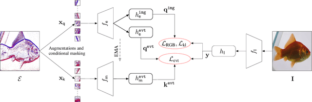 Figure 3 for Event Camera Data Pre-training