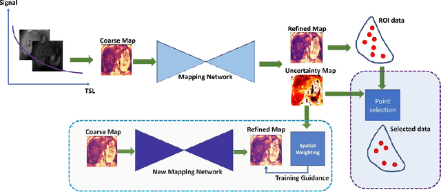 Figure 1 for An Uncertainty Aided Framework for Learning based Liver $T_1ρ$ Mapping and Analysis