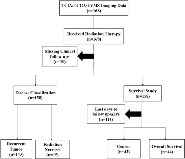 Figure 1 for Brain Tumor Recurrence vs. Radiation Necrosis Classification and Patient Survivability Prediction