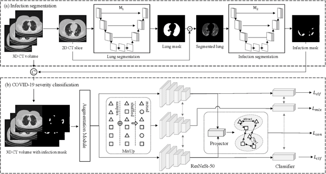 Figure 3 for Boosting COVID-19 Severity Detection with Infection-aware Contrastive Mixup Classification