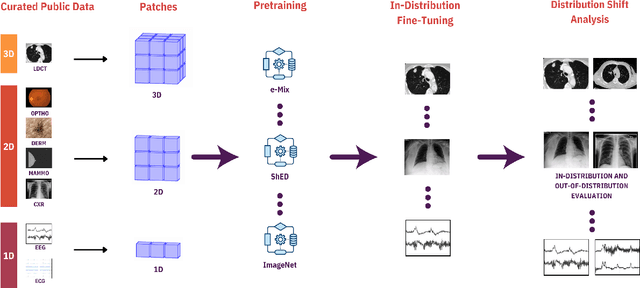 Figure 3 for BenchMD: A Benchmark for Modality-Agnostic Learning on Medical Images and Sensors