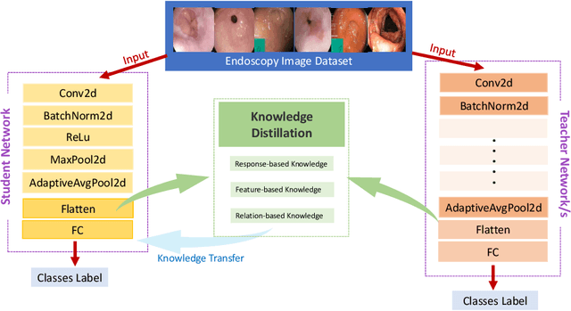 Figure 1 for Learning Through Guidance: Knowledge Distillation for Endoscopic Image Classification