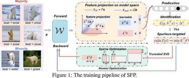 Figure 1 for SFP: Spurious Feature-targeted Pruning for Out-of-Distribution Generalization