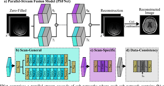 Figure 1 for Learning Deep MRI Reconstruction Models from Scratch in Low-Data Regimes