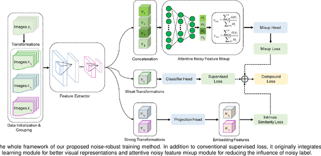 Figure 1 for Label-noise-tolerant medical image classification via self-attention and self-supervised learning