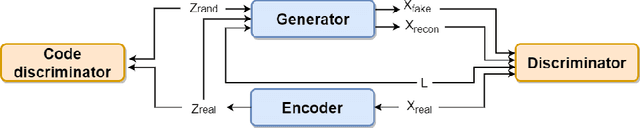 Figure 1 for Learning Sequential Information in Task-based fMRI for Synthetic Data Augmentation