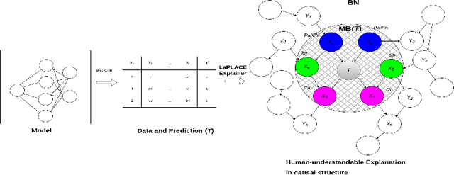Figure 1 for LaPLACE: Probabilistic Local Model-Agnostic Causal Explanations