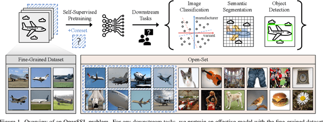 Figure 1 for Coreset Sampling from Open-Set for Fine-Grained Self-Supervised Learning