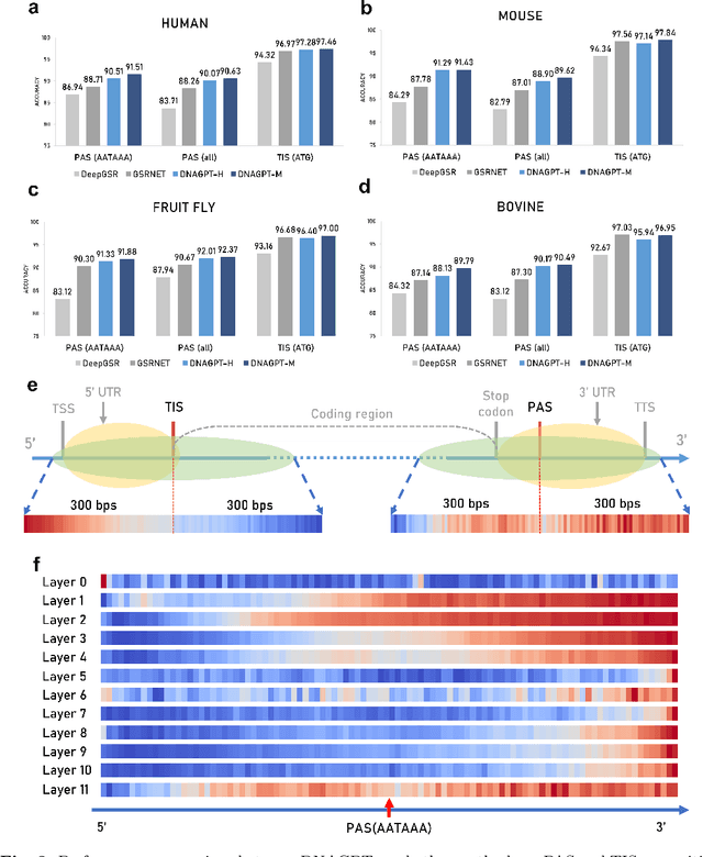 Figure 3 for DNAGPT: A Generalized Pretrained Tool for Multiple DNA Sequence Analysis Tasks