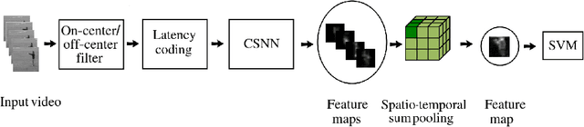 Figure 1 for S3TC: Spiking Separated Spatial and Temporal Convolutions with Unsupervised STDP-based Learning for Action Recognition
