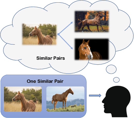 Figure 1 for Hallucination Improves the Performance of Unsupervised Visual Representation Learning