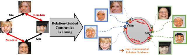 Figure 1 for Kinship Representation Learning with Face Componential Relation