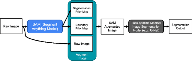Figure 1 for Input Augmentation with SAM: Boosting Medical Image Segmentation with Segmentation Foundation Model