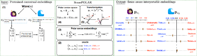 Figure 1 for SensePOLAR: Word sense aware interpretability for pre-trained contextual word embeddings