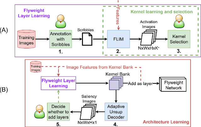 Figure 3 for A Flyweight CNN with Adaptive Decoder for Schistosoma mansoni Egg Detection