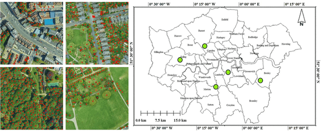Figure 1 for TreeFormer: a Semi-Supervised Transformer-based Framework for Tree Counting from a Single High Resolution Image