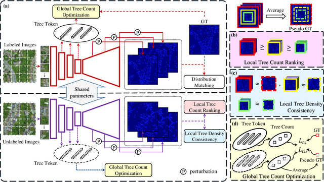 Figure 2 for TreeFormer: a Semi-Supervised Transformer-based Framework for Tree Counting from a Single High Resolution Image