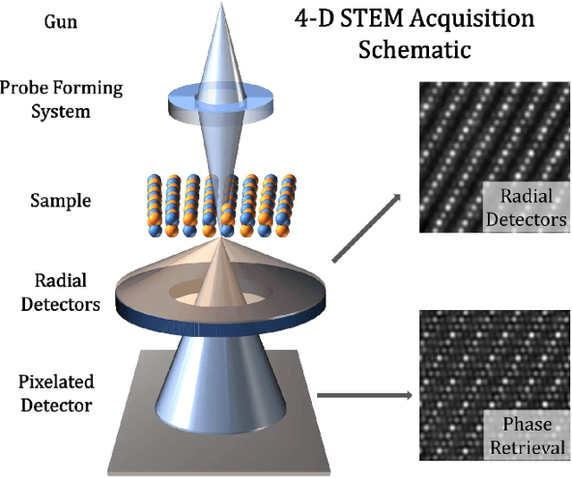 Figure 1 for In silico Ptychography of Lithium-ion Cathode Materials from Subsampled 4-D STEM Data