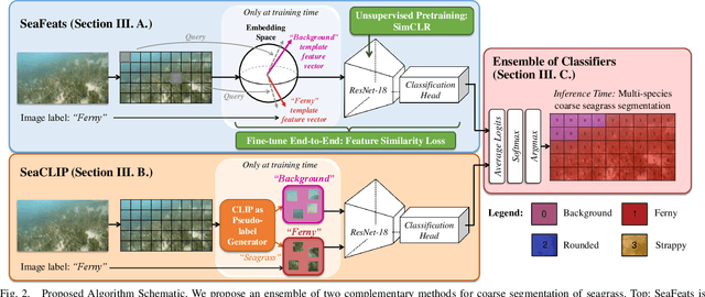 Figure 2 for Image Labels Are All You Need for Coarse Seagrass Segmentation