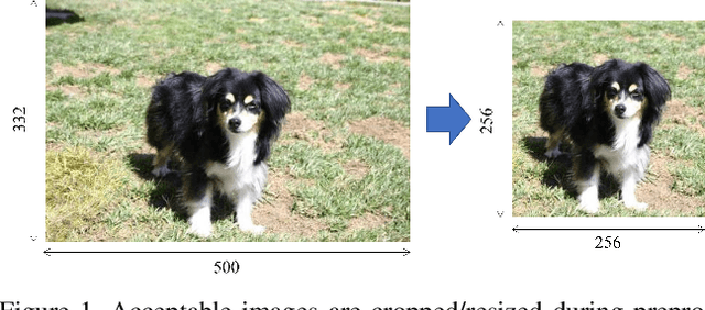 Figure 1 for Insta(nt) Pet Therapy: GAN-generated Images for Therapeutic Social Media Content