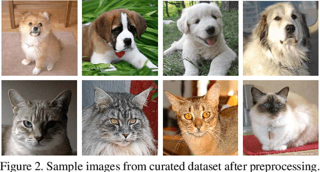 Figure 3 for Insta(nt) Pet Therapy: GAN-generated Images for Therapeutic Social Media Content