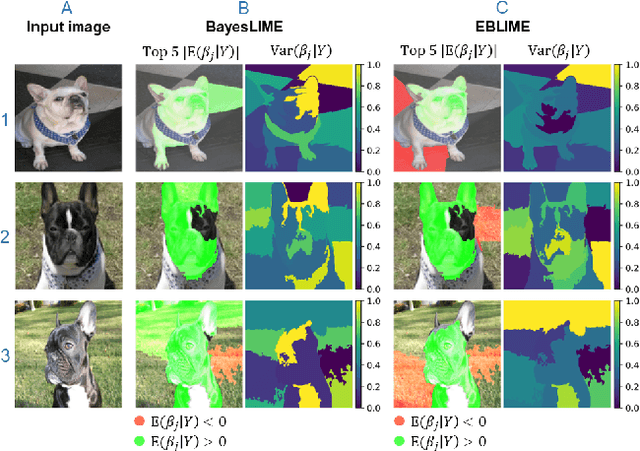 Figure 3 for EBLIME: Enhanced Bayesian Local Interpretable Model-agnostic Explanations