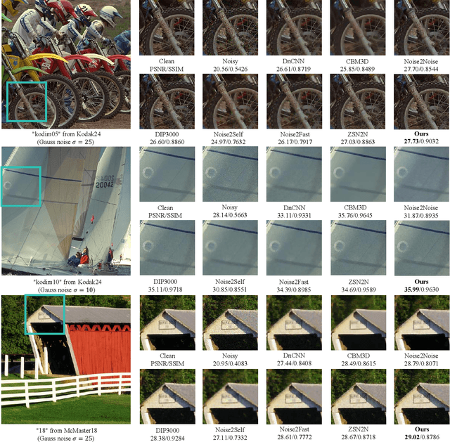Figure 4 for Low-Trace Adaptation of Zero-shot Self-supervised Blind Image Denoising