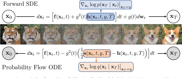 Figure 1 for Denoising Diffusion Bridge Models