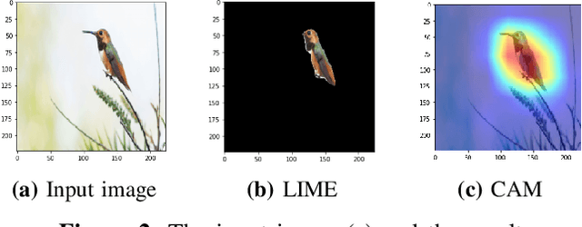 Figure 2 for A Novel Explainable Artificial Intelligence Model in Image Classification problem