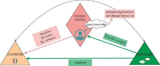 Figure 1 for Human-centered XAI for Burn Depth Characterization