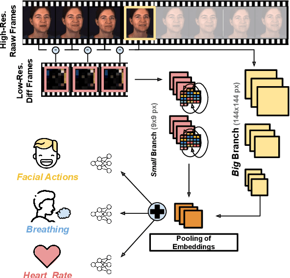 Figure 1 for BigSmall: Efficient Multi-Task Learning for Disparate Spatial and Temporal Physiological Measurements