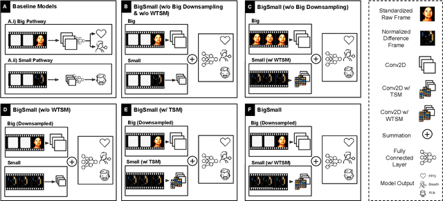 Figure 3 for BigSmall: Efficient Multi-Task Learning for Disparate Spatial and Temporal Physiological Measurements