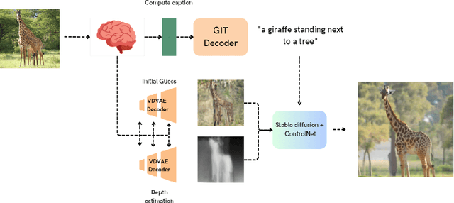 Figure 1 for Brain Captioning: Decoding human brain activity into images and text