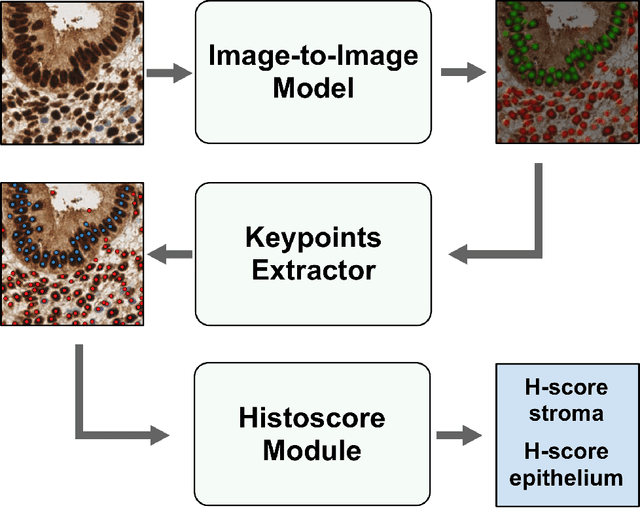 Figure 3 for EndoNet: model for automatic calculation of H-score on histological slides