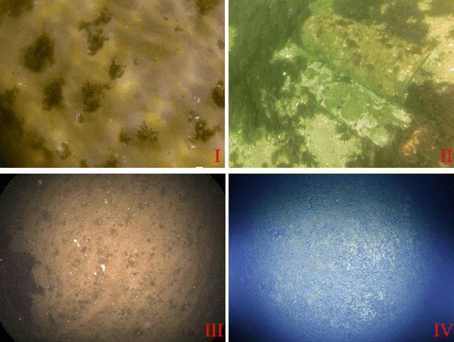 Figure 2 for Advanced Underwater Image Restoration in Complex Illumination Conditions