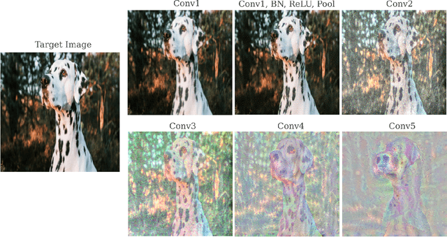 Figure 1 for Depth and Representation in Vision Models