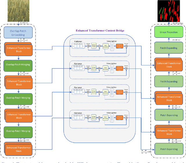 Figure 1 for Improving FHB Screening in Wheat Breeding Using an Efficient Transformer Model