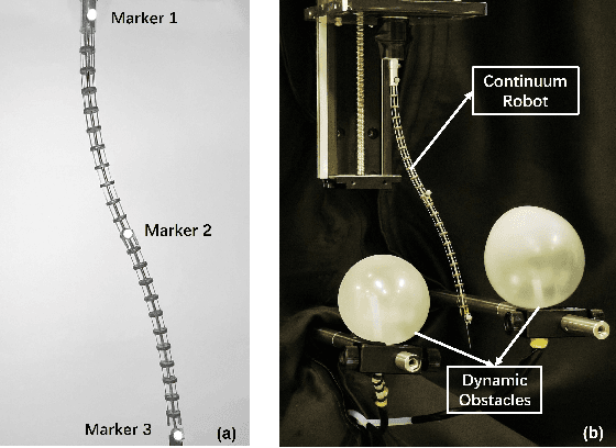 Figure 1 for Efficient RRT*-based Safety-Constrained Motion Planning for Continuum Robots in Dynamic Environments