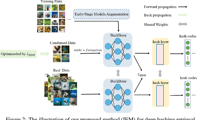 Figure 3 for Towards Efficient Deep Hashing Retrieval: Condensing Your Data via Feature-Embedding Matching