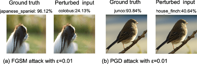 Figure 1 for Versatile Defense Against Adversarial Attacks on Image Recognition