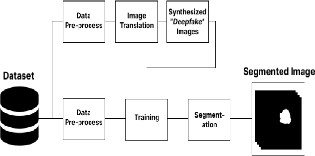 Figure 1 for Deepfake Image Generation for Improved Brain Tumor Segmentation