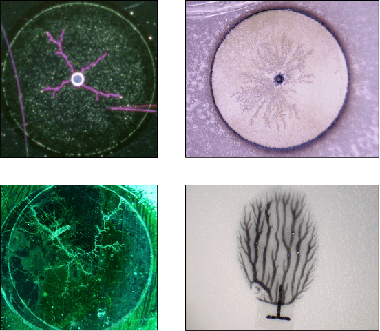 Figure 1 for Fast Key Points Detection and Matching for Tree-Structured Images