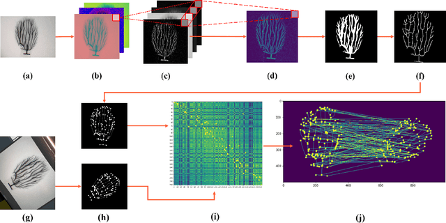 Figure 2 for Fast Key Points Detection and Matching for Tree-Structured Images