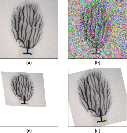 Figure 4 for Fast Key Points Detection and Matching for Tree-Structured Images