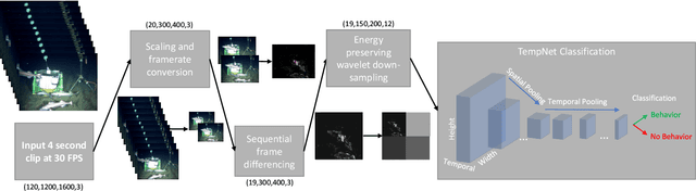 Figure 2 for TempNet: Temporal Attention Towards the Detection of Animal Behaviour in Videos