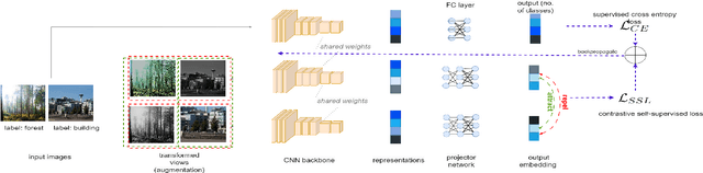 Figure 2 for Functional Knowledge Transfer with Self-supervised Representation Learning