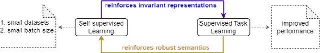 Figure 3 for Functional Knowledge Transfer with Self-supervised Representation Learning