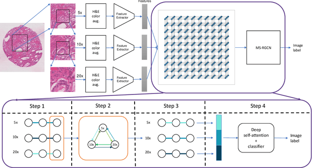 Figure 1 for Multi-Scale Relational Graph Convolutional Network for Multiple Instance Learning in Histopathology Images