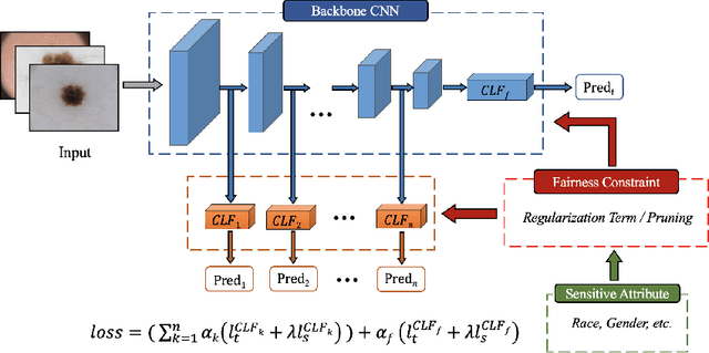 Figure 1 for Toward Fairness Through Fair Multi-Exit Framework for Dermatological Disease Diagnosis
